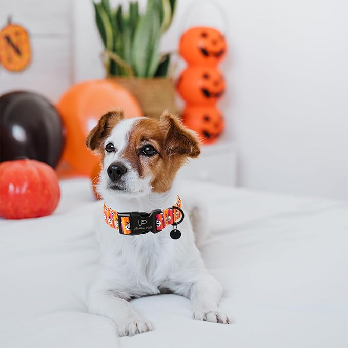 Halloween Dog Collar, Autumn Cotton Collar for Puppy Girl Dog or Cat, Halloween Pumpkin Collar with Lightweight Plastic Buckle, Adorable Pet Collar