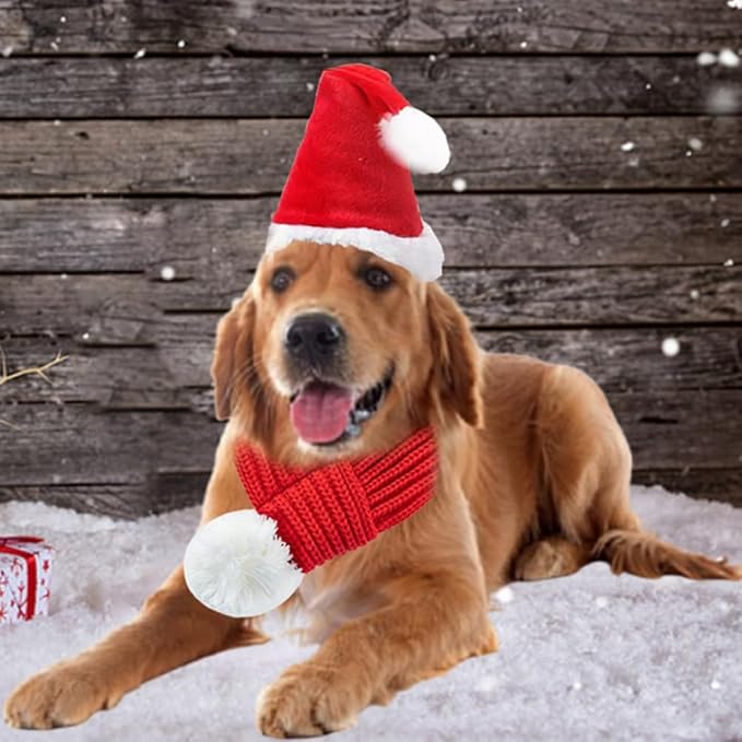 ANIAC Dog Santa Hat with Scarf Kids Xmas Cap Doggy Christmas Costume Pet Warm Headgear and Neck Accessories for Medium Big Dogs and Kids (Large)