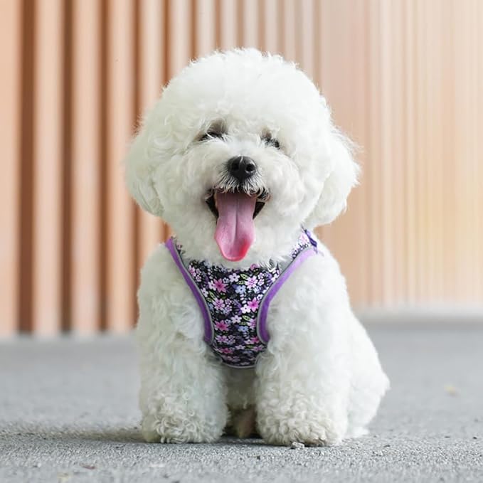 Step in Dog Harness and Leash Set, Flower Adjustable Easy Walk Puppy Harnesses, Soft Mesh Pet Vest Harness Small Size Adjustable No Pull Dog Harness for Small Dogs and Cats(Purple, XXS)