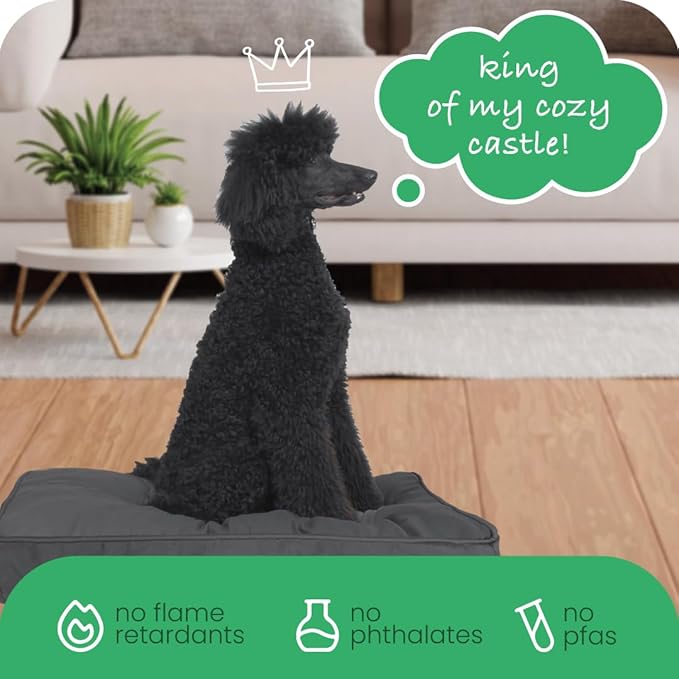Molly Mutt Medium to Large Dog Bed Cover - I’m A Realist Print - Measures 27”X36”X5’’ - 100% Cotton - Durable - Breathable - Sustainable - Machine Washable Dog Bed Cover