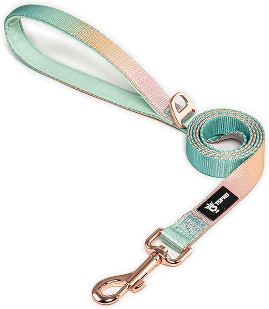 TSPRO Lightweight Dog Leash, Gradient Color Dog Leash, Padded Handle, Durable Dog Leash, Quick Release Metal Buckle, for Small to Medium Dogs Walking (Yellow-Green Gradient)