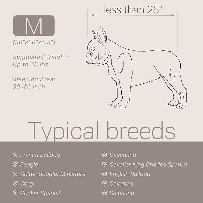 Soft Touch Faux Fur Dog Pillow Beds for Small,Medium Dogs, Supportive Foam Dogs Couch with Washable Removable Cover, Super Soft Pets Bed for Large Cats & Medium Dog (Ivory)