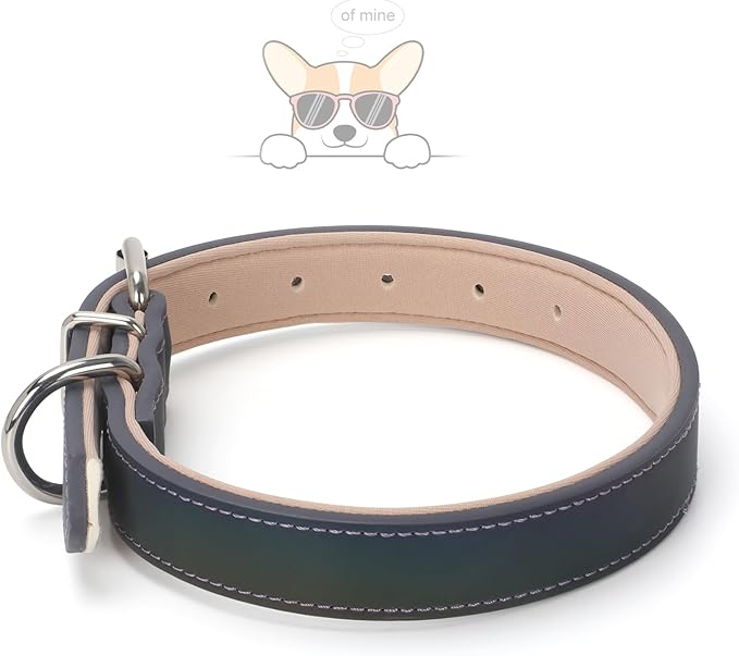 WHIPPY Leather Dog Collar for Medium Large Dog Adjustable Soft Leather Padded Puppy Collar with Alloy Buckle Heavy Duty Waterproof Classic Dog Pet Collar
