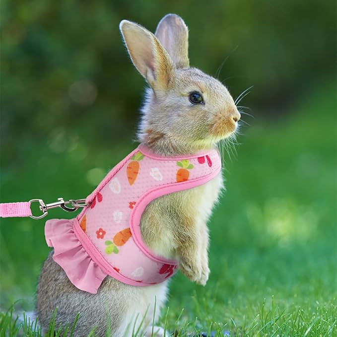 Small Animal Harness Leash & Hat Set - Breathable Mesh, Adjustable Velcro Closure Escape-Proof Vest for Bunny, Chinchilla, Guinea Pig, Hamster for All-Season