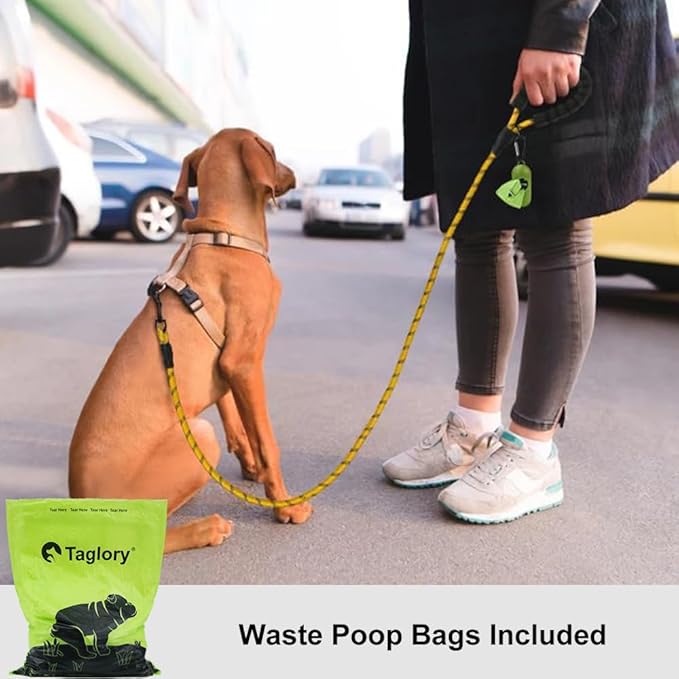 Taglory Rope Dog Leash 4 FT with Comfortable Padded Handle, Highly Reflective Threads Leash for Small Dogs, 3/8 inch, Yellow