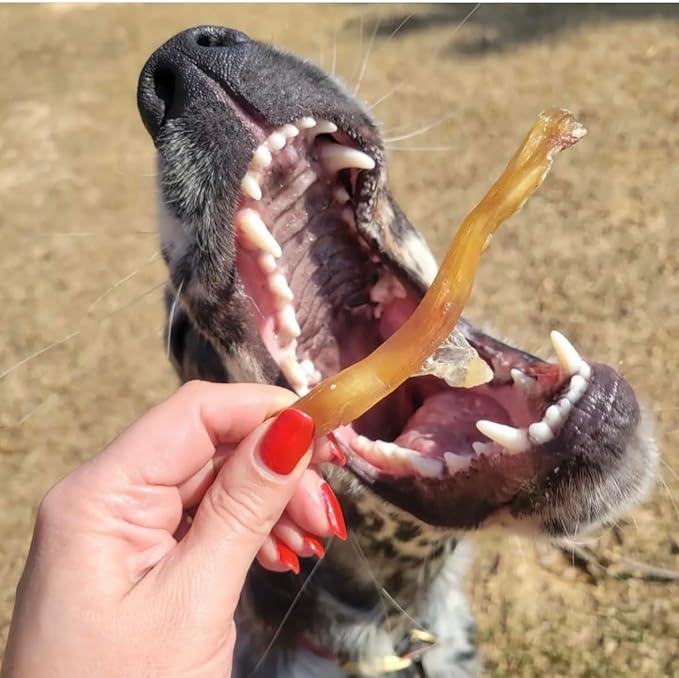 Beef Tendons for Dogs Made in USA. 6-10 Inch Grass Fed Farm-Raised American Beef Dog Treats. All Natural Dog Dental Chews. Grain Free Odor-Free Beef Dog Chews 5 Count