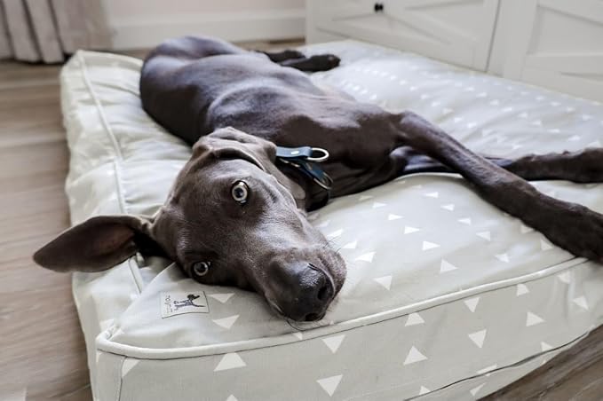 Molly Mutt Medium to Large Dog Bed Cover - Be Still - Measures 27”x36”x5’’ - 100% Cotton - Durable - Breathable - Sustainable - Machine Washable Dog Bed Cover