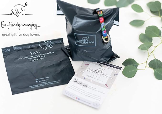 Lucky Love Dog - Easy Click Buckle Dog Collar with Leash Set Combo, Durable & Comfortable for Male & Female Dogs, Pet Collar for Small to Large Dogs, Secure Fit - Mackey Combo, XS