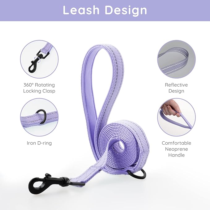 BELLA & PAL Puppy Harness with Leash Set, Step in Harness for Small Dogs, Dog Air Mesh Dog Vest Harness with Reflective Strip, No Pull No-Chock Harness for XXS, XS, Small, Medium Dog Cat (Lavender, S)