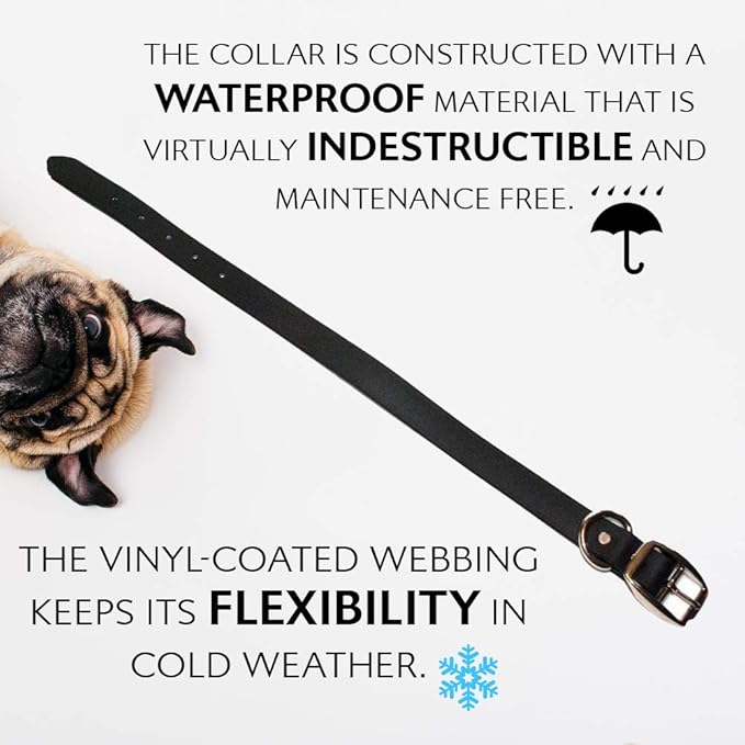 Regal Dog Products Small Black Waterproof Dog Collar and Leash Set | Heavy Duty Double Buckle & D Ring - 5'ft Leash | Adjustable Biothane Dog Collar | Chew Resistant Waterproof Collar for Dogs