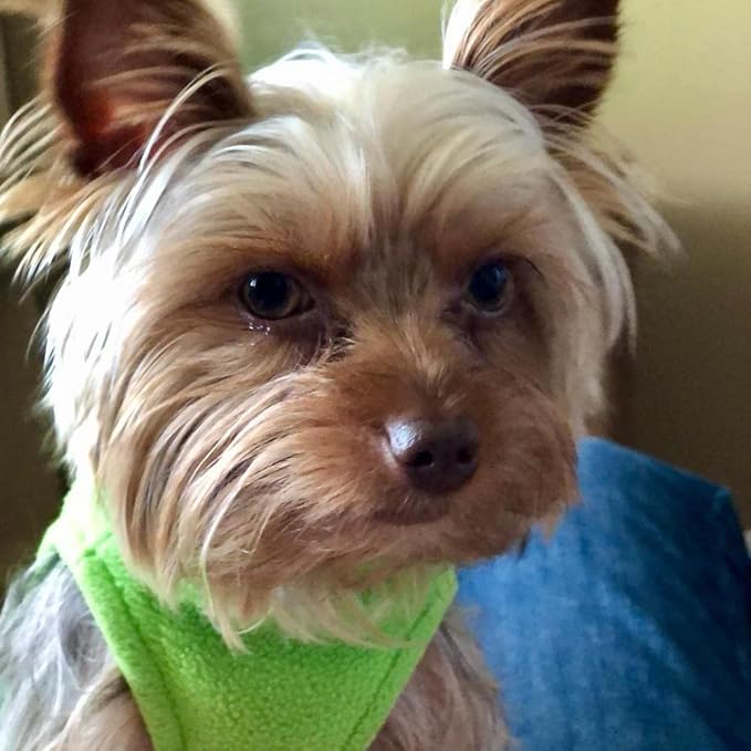 Gooby - Stretch Fleece Vest, Pullover Fleece Vest Jacket Sweater for Dogs, Grass Green, Large