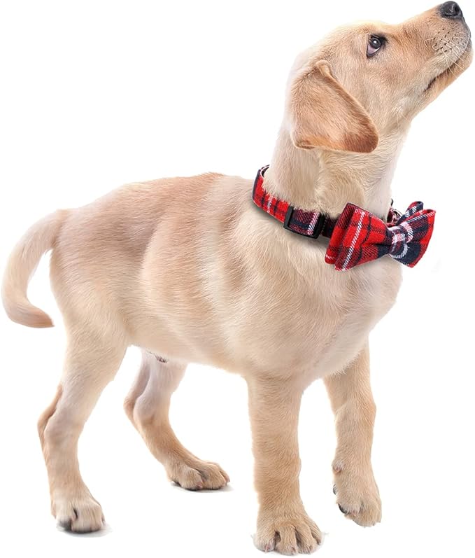 Faleela Soft &Comfy Bowtie Dog Collar,Detachable and Adjustable Bow Tie Collar,for Small Medium Large Pet (M, Red)