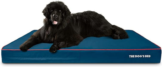 The Dog’s Bed Orthopedic Memory Foam Dog Bed, XXXL Blue/Red 64x44, Pain Relief for Arthritis, Hip & Elbow Dysplasia, Post Surgery, Lameness, Supportive, Calming, Waterproof Washable Cover