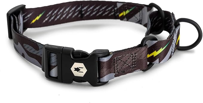 Wolfgang Heavy Duty Martingale Dog Collar with Quick Release Nylon Buckle for Walking & Training, DarkSkies Print, Extra Large
