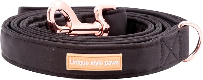 Unique style paws Silk Dog Leash Durable Dog Leashes with Welded D-Ring Comfortable Handle for Small Medium Large Dogs