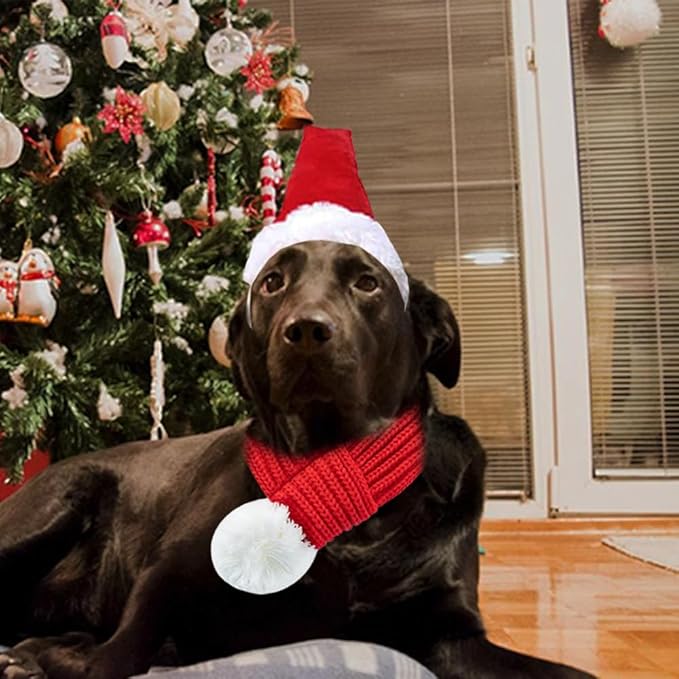 ANIAC Dog Santa Hat with Scarf Kids Xmas Cap Doggy Christmas Costume Pet Warm Headgear and Neck Accessories for Medium Big Dogs and Kids (Large)