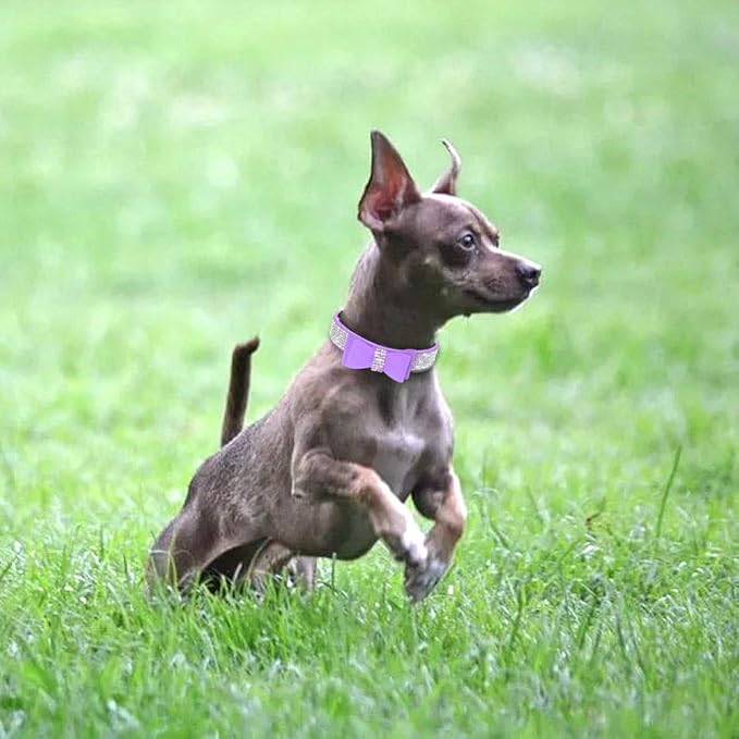 Cute Dog Collar with Bling Rhinestone, Fancy Crystal Diamond Glitter Pretty Jewel Soft Cat Collars for Small Medium Large Breed Dogs Girl Female Pet Puppy Kitten Terrier (M, Purple1)