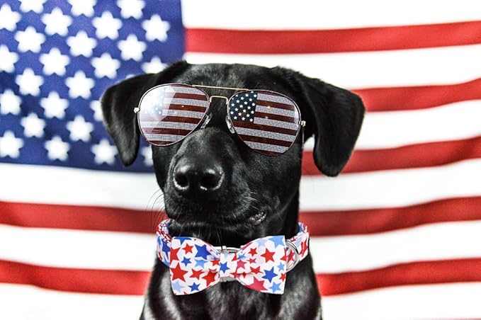 ARING PET American Flag Dog Collar, Cute Bowtie Dog Collars with Metal Buckle, Red White Blue Star Pet Collar Bow Tie for Small Meduim Large Dogs