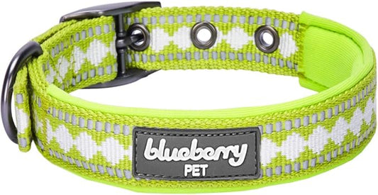 Blueberry Pet Soft & Safe 3M Reflective Jacquard Neoprene Padded Adjustable Dog Collar with Metal Buckle - Macaw Green, Neck 9-12.5", for Small Breed