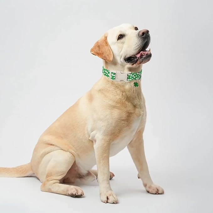 Lionet Paws St. Patrick Dog Collar- Cute Clover Bone Green Dog Collars with Plastic Buckle, Light Adjustable Dog Collars with Clover Pendant for Medium Large Dogs