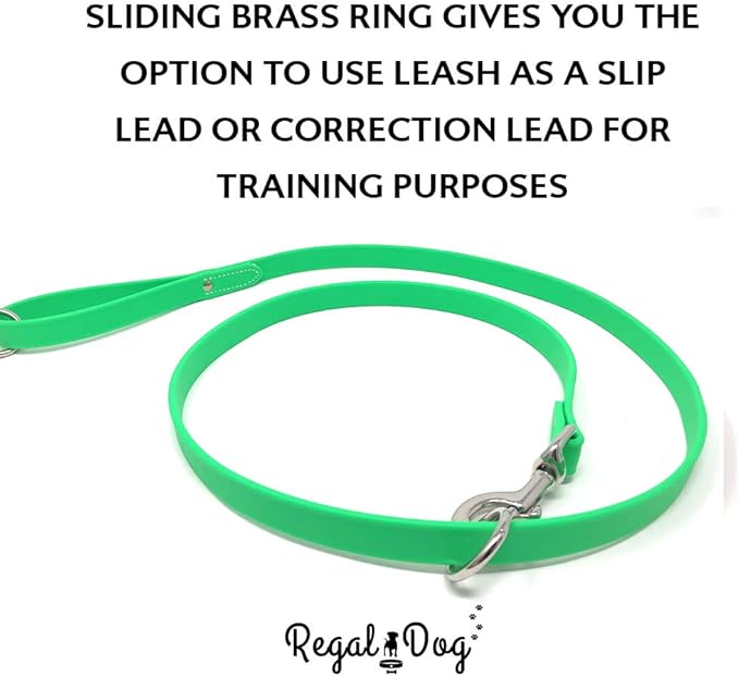 Regal Dog Products Small Light Green Waterproof Dog Collar and Leash Set | Heavy Duty Double Buckle & D Ring - 5'ft Leash | Adjustable Biothane Dog Collar | Chew Resistant Waterproof Collar for Dogs