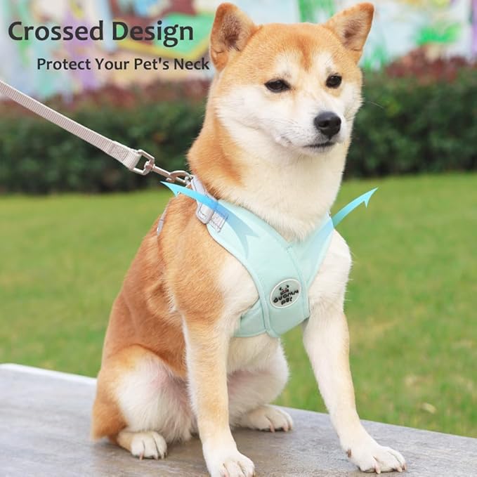 FEimaX Dog Harness Pet X Frame No Pull Step-in Harnesses with Leash Set, Adjustable Reflective Choke Free Puppy with Padded Vest for Small, Medium Dogs and Cats Walking Training