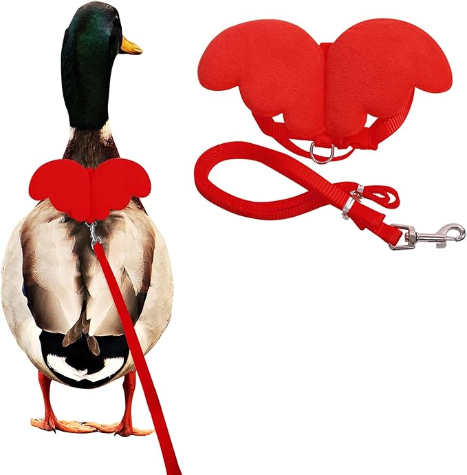 KAMA BRIDAL Duck Walking Harness and Leash Chicken Duck Outdoor Training Rope Adjustable Rope for Pet Poultry Hen Cock (S, Red)