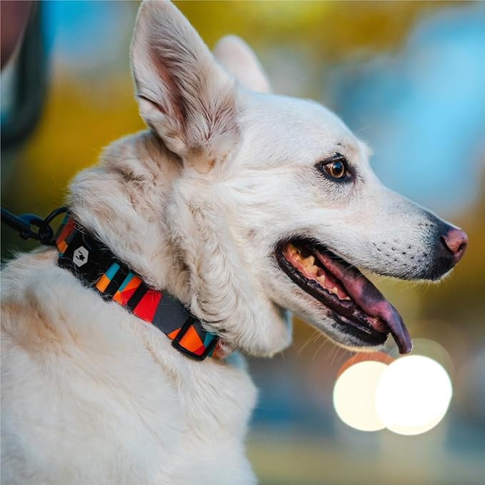 Wolfgang Heavy Duty Martingale Dog Collar with Quick Release Nylon Buckle for Walking & Training, ShatterShapes Print, Extra Large
