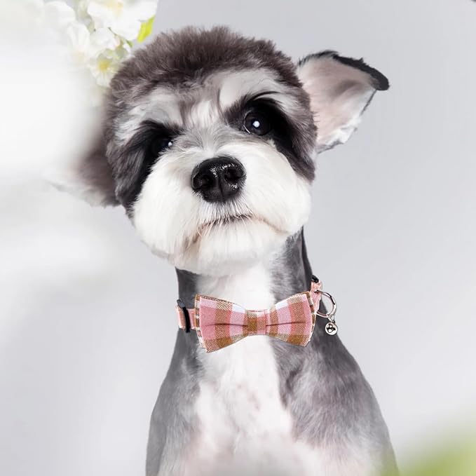 SuperBuddy Dog Collar, Adjustable Dog Collar with Bowtie, Pet Collar for Dog Soft Bowtie Dog Collars for Small Medium Large Pet