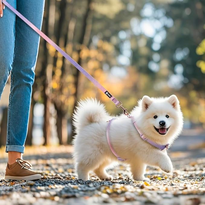 TSPRO Lightweight Dog Leash, Gradient Color Dog Leash, Padded Handle, Durable Dog Leash, Quick Release Metal Buckle, for Small to Medium Dogs Walking (Pink-Purple Gradient)
