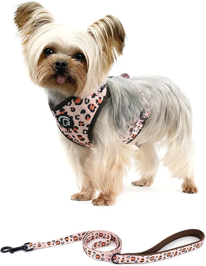 Dog Harness and Leash Set, Adjustable Dog Harness, Dog Leash, No Pull No Choke Puppy Harnesses for Walking Training for Small, Medium, Large Pet