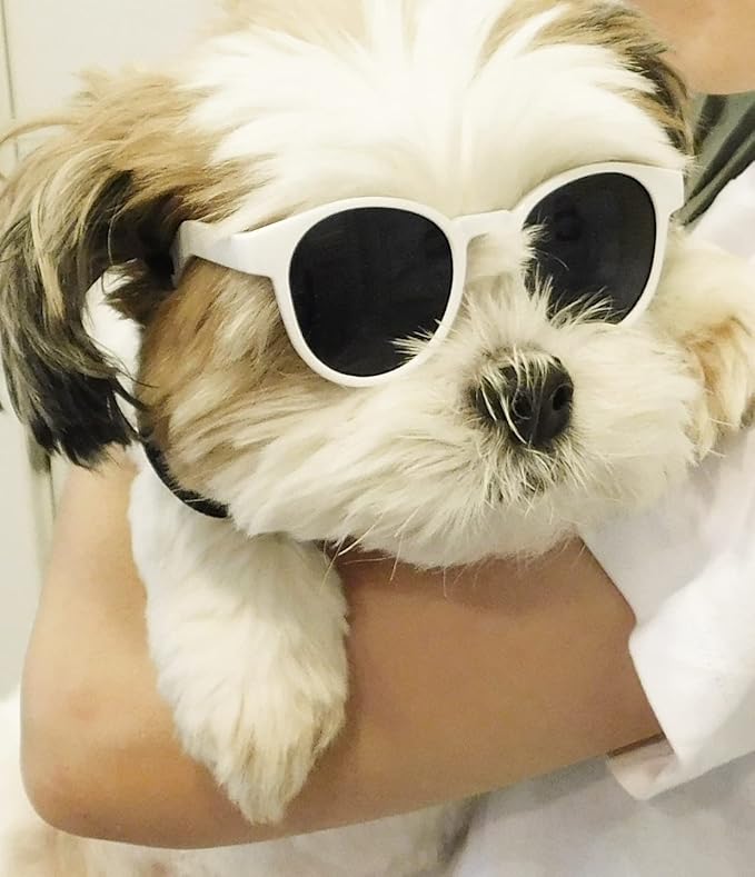 G014 Dog Cat Pet Panto Round Sunglasses for Small Breeds up to 15lbs (Panto White)