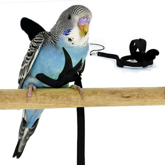 Budgerigar Harness and Leash, Adjustable Parrot Bird Training Design Anti-Bite, Bird Nylon Rope with Cute Wing for Budgerigar and Same Size Birds (S, Black)