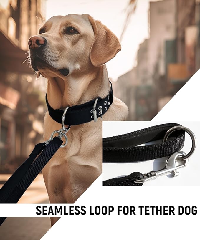Large Dog Collar and Leash Set- Black Heavy Duty Collar and Leash for Gaint Breed Dogs, 2in Wide with Handle Collar and 5 ft Leash, Strong Nylon and Stainless Hardware, 22"-27"