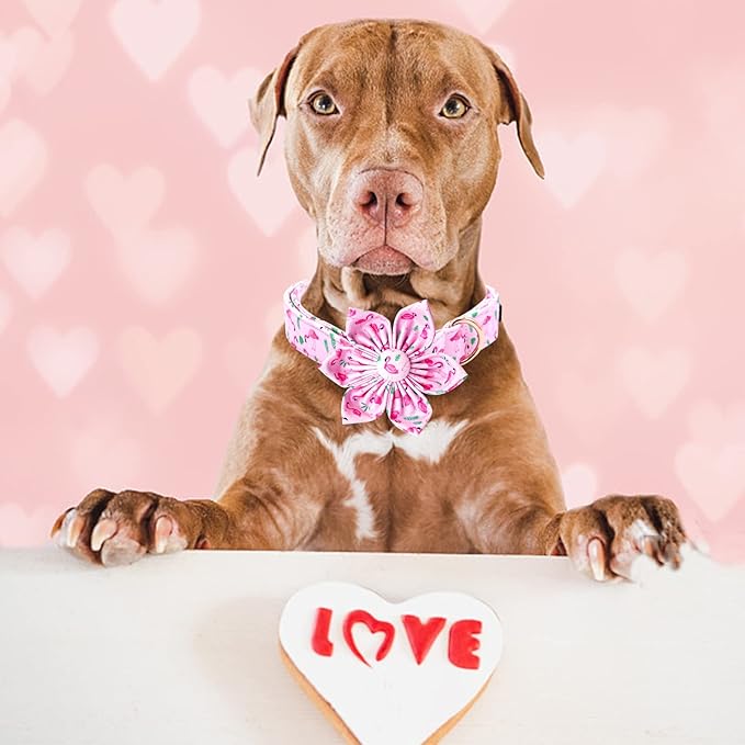 Lionheart Glory Valentine's Day Collar with Flower - Pink Collar with Bowtie for Medium Dogs