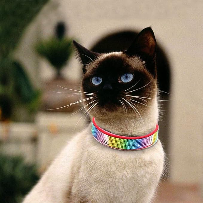 Cute Dog Collar with Bling Rhinestone, Fancy Crystal Diamond Glitter Pretty Jewel Soft Cat Collars for Small Medium Large Breed Dogs Girl Female Pet Puppy Kitten Terrier (M, Red3)