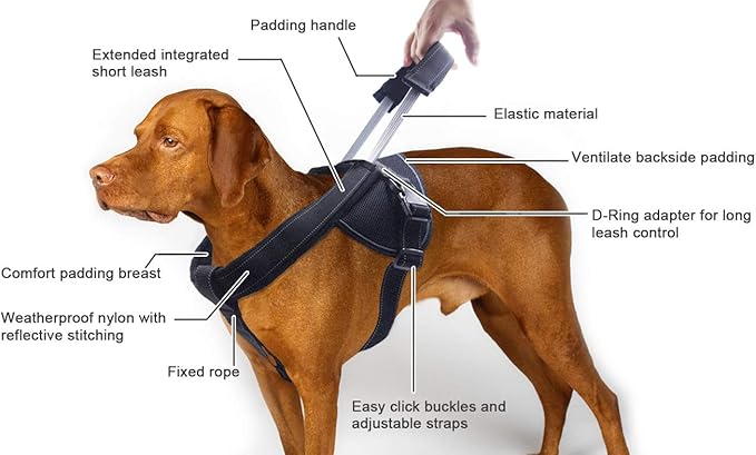 Heavy Duty Dog Harness for Large Dogs, No Pull Dog Vest Harness with Handle Extensible, Reflective Stitching (XL)