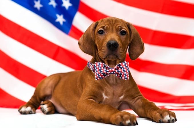 Lionet Paws Patriotic Dog and Cat Collar with Bowtie, 4th of July, Soft and Comfortable, Adjustable Collar for Puppies and Cats, Neck 8-12 inches