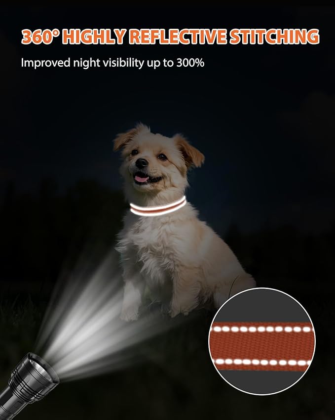 Joytale Small Dog Collar, Reflective and Adjustable Nylon Collar with Quick-Release Buckle, Lightweight No-Choke Design for Small Dogs, Orange, 5/8" Width