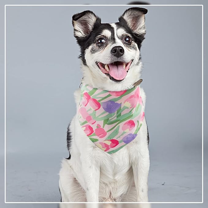 50PCS Large Dog Bandanas Large Breed XL Bulk for Extra Large Dog Big Bandanas Pack Kerchief Washable Triangle Bibs Head Scarves Scarfs Random Patterns for Boys and Girls Grooming Accessories