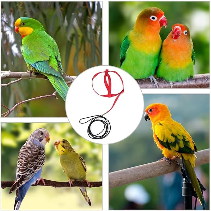 Parrot Harness Leash, Anti Bite Bird Training Leash Adjustable Parrot Flying Rope for Parrot Budgerigar Lovebird Cockatiel