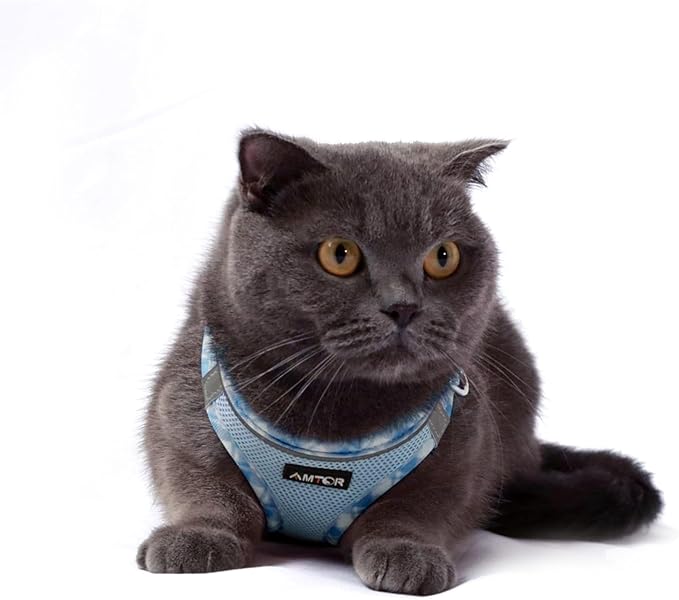 AMTOR Small Dog Harness with Leash Set, No Escape Easy Walk Puppy Harnesses for Training Walking, Step-in Reflective Soft Dogs Vest for XS S Medium Extra-Small Large Sized Dog(XL Size,Blue/White)