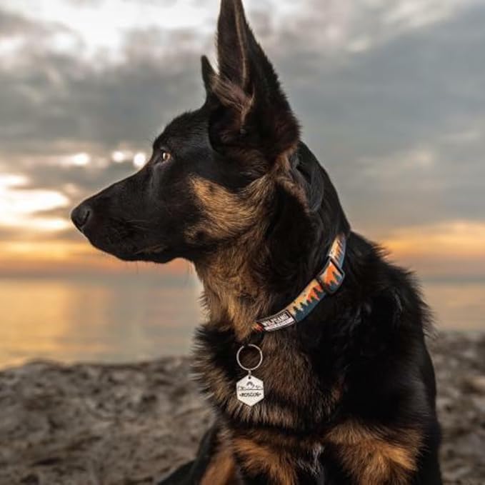 Wolfgang Heavy Duty, Adjustable Dog Collar with Quick Release Nylon Buckle for Walking & Training, Overland Print, Small