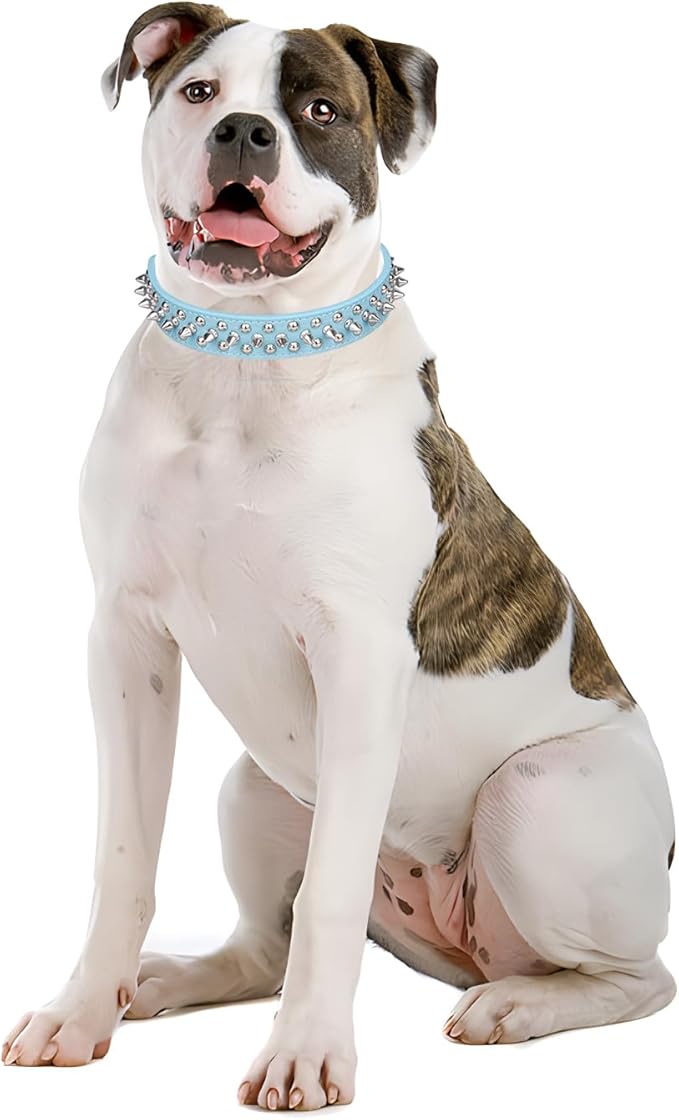 Spiked Dog Collar, Mushrooms Rivet Spike Anti-Bite Studded Protective Pet Neck Pu Leather Puppy Collars for XXS XS Small Medium Large Boy Dogs Male Cats Goat, Light-Blue XSmall