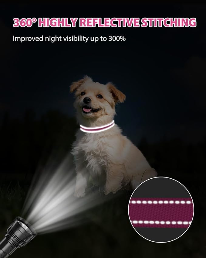 Joytale Small Dog Collar, Reflective and Adjustable Nylon Collar with Quick-Release Buckle, Lightweight No-Choke Design for Small Dogs, Hotpink, 5/8" Width