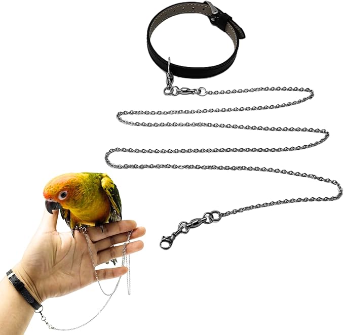 Bird Foot Chain Flying Stainless Steel Training Rope with Leather Wrist Strap Outdoor Parrot Ankle Foot Ring Accessories Bird Harness Leash Prevent Escaping (Model 7 Set)