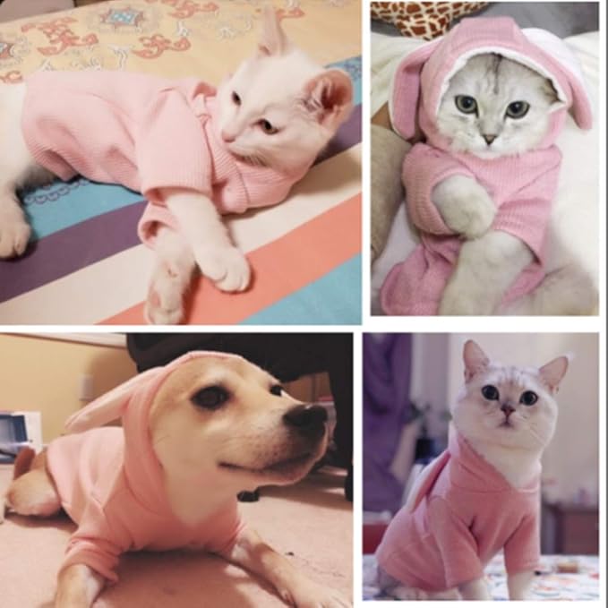 ANIAC Dog Hoodies Sweatshirt with Bunny Ears Spring Puppy Clothes for Small Dog Girl Boy Soft Doggy Sweater Cat Apparel Pet Clothing for Kitten Pomeranian Chihuahua (Small, Pink)