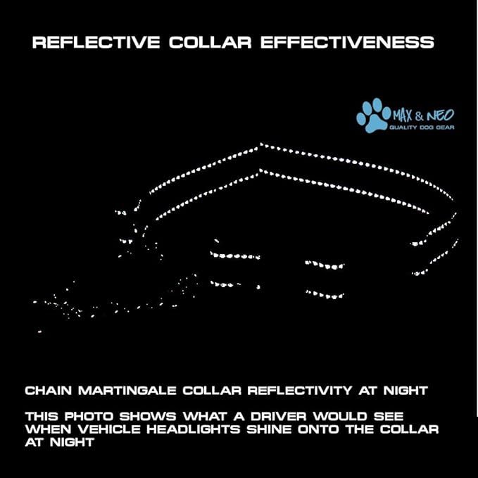Max and Neo Stainless Steel Chain Martingale Collar - We Donate a Collar to a Dog Rescue for Every Collar Sold (X-Small, Purple)