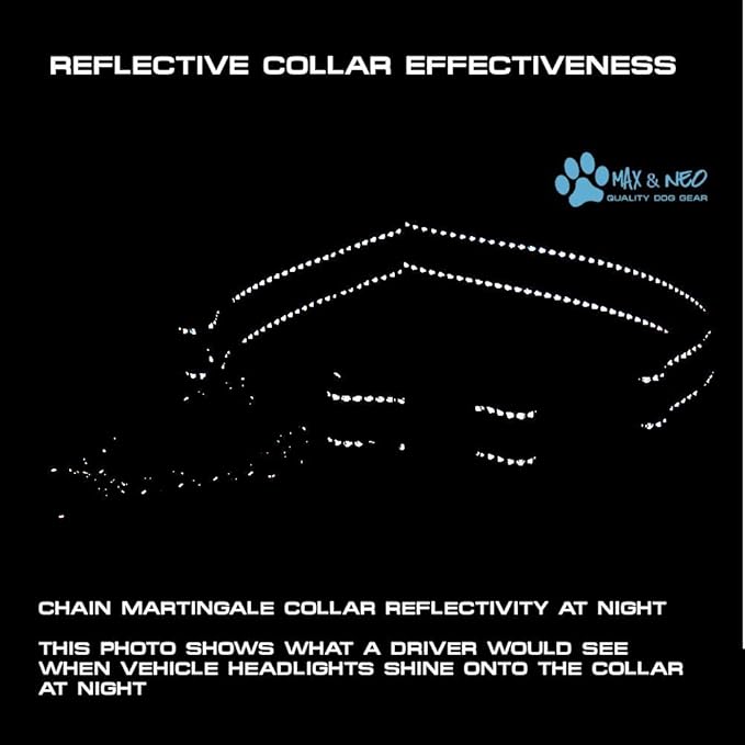 Max and Neo Stainless Steel Chain Martingale Collar - We Donate a Collar to a Dog Rescue for Every Collar Sold (Large, Teal)