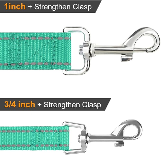 Joytale Double-Sided Reflective Dog Leash, 6 FT/5 FT/4 FT, Padded Handle Nylon Heavy Duty Leashes for Small & Medium Dogs Walking, Teal, 6FT